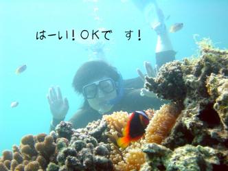 はい！ＯＫで～す