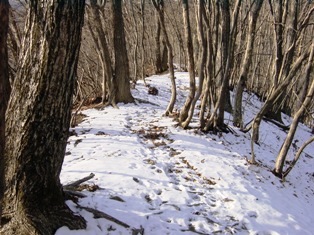 ０７雪の尾根.JPG