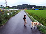 散歩1