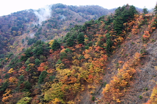 高野龍神スカイライン