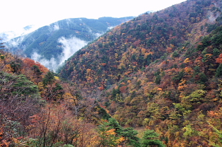 高野龍神スカイライン