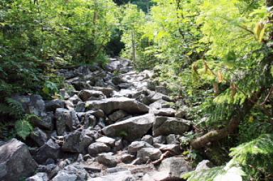 登山道