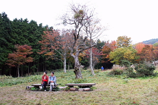 紅葉を楽しむご夫婦