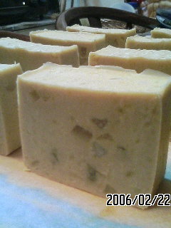 アロエヨーグルトｉｎカスピ海