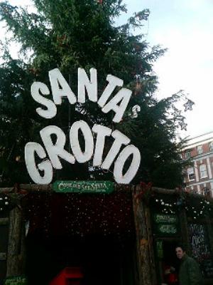 サンタに会える木