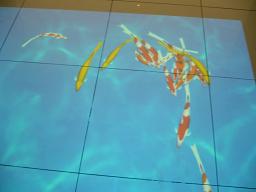 逃げないで・・・・・。