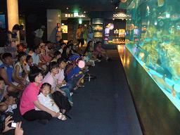 フィーディング・タイム