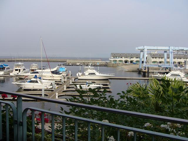 八景島パラダイス