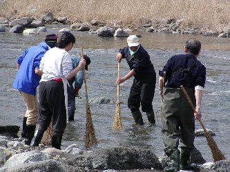 銘仙流し04