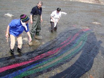 銘仙流し16