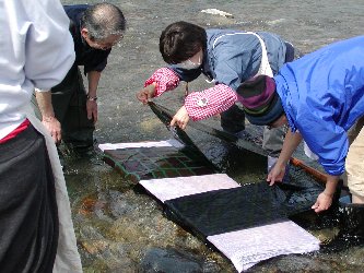 銘仙流し26