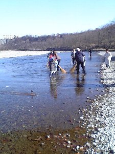 銘仙流し03