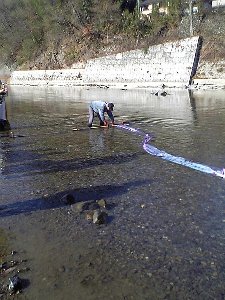 銘仙流し06