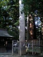 諏訪神社 御柱