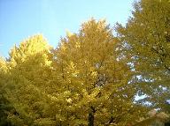 CIMG0478.JPG