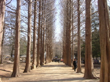 nami island