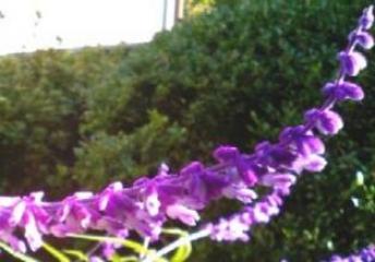 2005-11-12 17:58:45