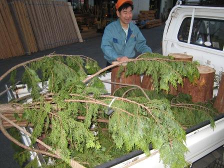 ジャパンホームショー　ブース装飾用の枝葉と切り株が当社山林部より到着しました。