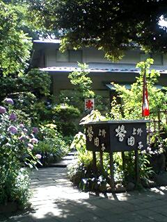 090626_1500~0002.jpg
