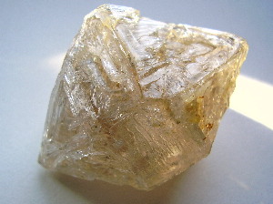 メキシコ産エレスチャル-1