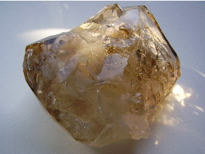 ブラジル産エレスチャル-A1