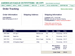 american---eagle-----shopping.jpg