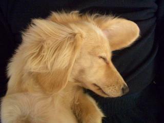 ｚｚｚｚｚｚ・・・