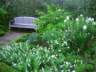 ホワイトガーデン