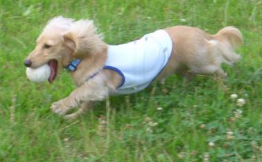 元気いっぱーい☆