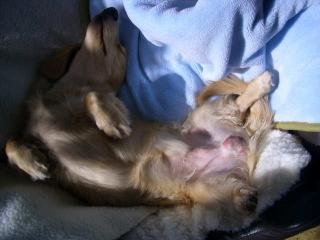 ちょっと恥ずかしいヨ