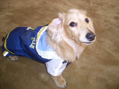 これでモテるかな？