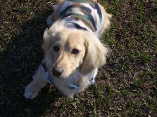 さぼってちゃダメだよー！！