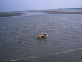 海、サイコー！！！