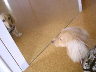 今日のボク、どう？？？