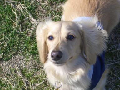 これからもよろしく♪