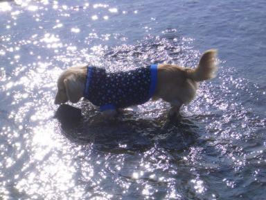 月が昇るし～～♪