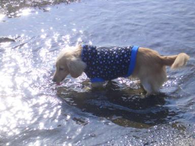 日が沈む～～♪