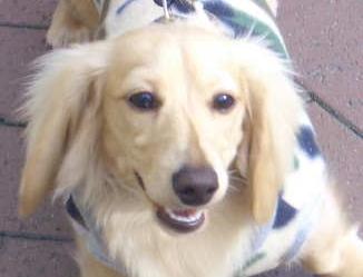 超楽しいゲームだよ☆