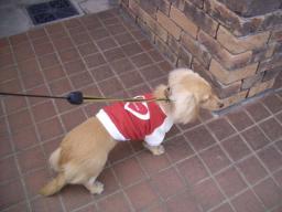 どこに隠れたの？？