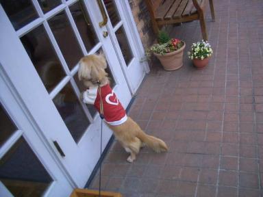 あ！中にいたよ！！！