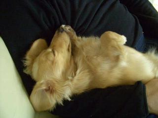 気持ちいいよぉ。。。