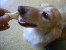 もっともっと！