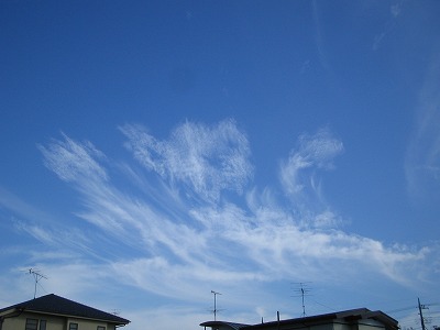 空