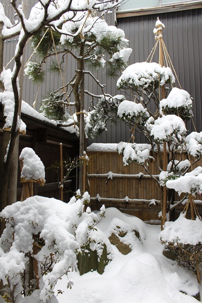 お庭の雪