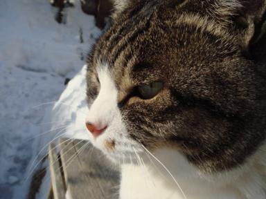 ちびちび　９７７