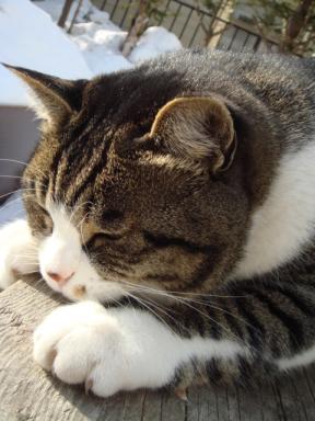 ちびちび　９７９