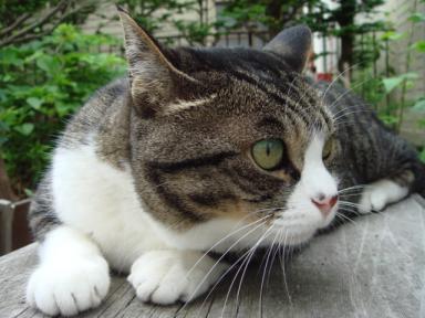 ちびちび　１０２３