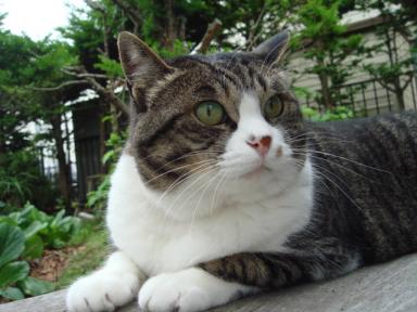 ちびちび　１０２４