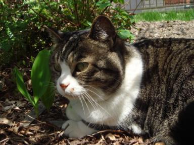 ちびちび　１１３３