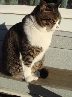 ちびちび　１１１２